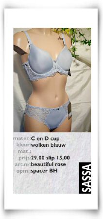 vz26 beautiful rose cloudblue.jpg